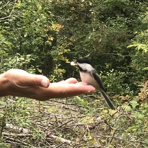 Fundraising Page: Lyne Leclerc